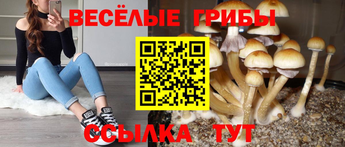 Псилоцибиновые грибы MAGIC MUSHROOMS  Псилоцибиновые грибы Psilocybe  Красноуфимск  Вход с VPN 